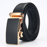 Men Top Quality Genuine Luxury Leather Belts for Men