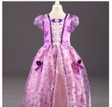 Princess Elsa Anna Dress