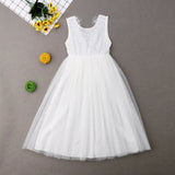 Baby Girl Flower Dress | Bridesmaid Pageant Dress | Lace Tutu Party Dress