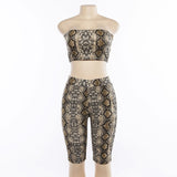 Sexy Snake Print Two Piece Set